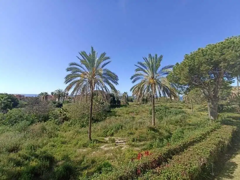 Terraced house with pool for sale in Manilva Pueblo, imagen 19