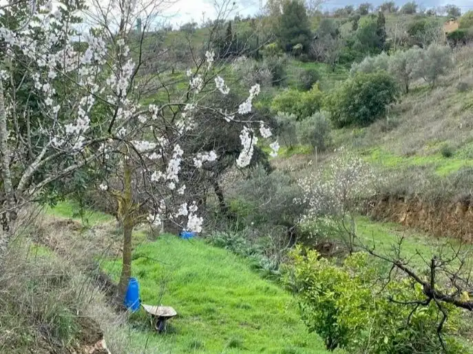 Terreni e lotti in vendita a Lugar Poligono 2 7, imagen 5