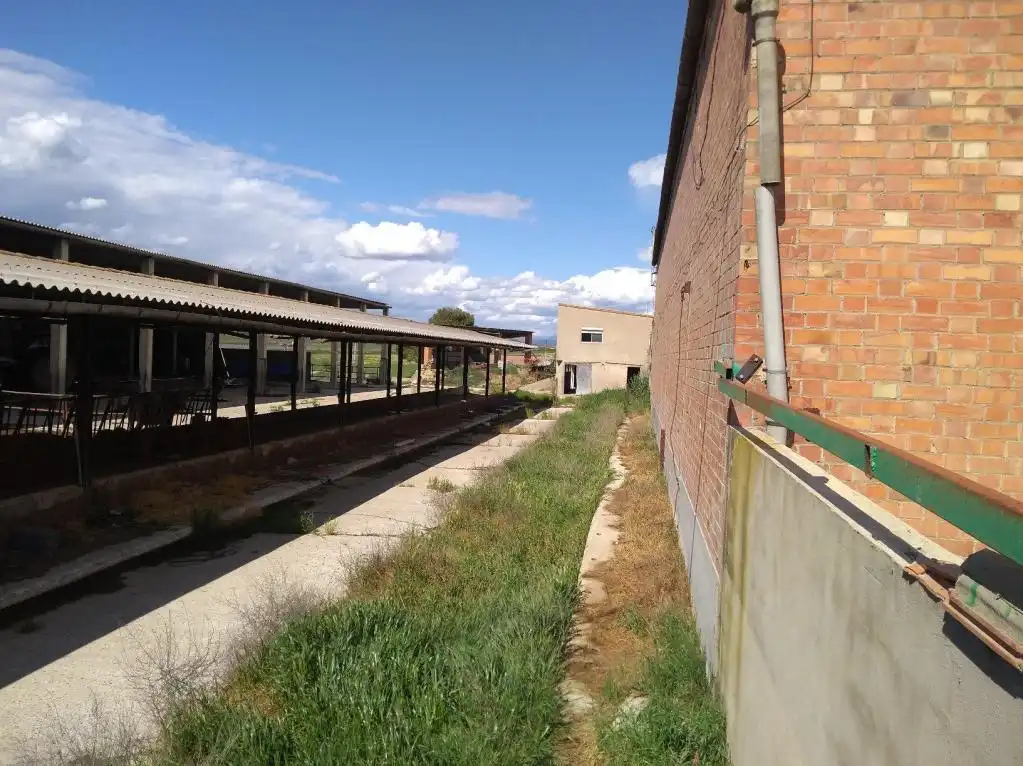 Nave industrial en venta en Partida detras de la Pleta, Torrefarrera