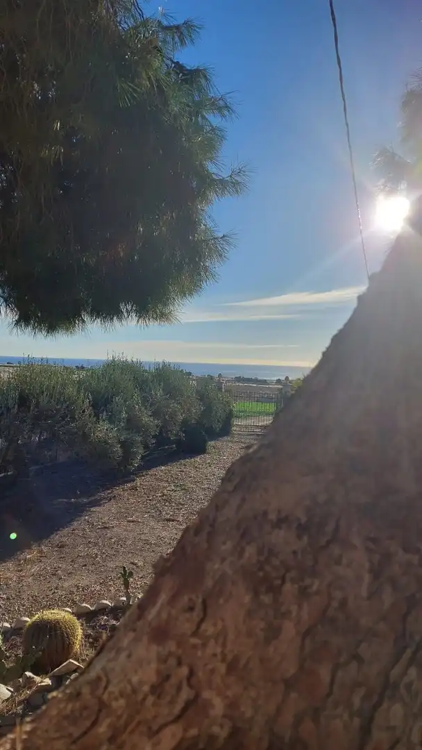 Haus oder Chalet zum Verkauf in Paraje Cuesta de Gos, 38, Tébar - Los Arejos