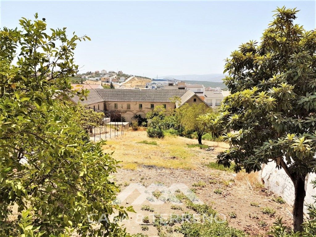Building for sale in Rute