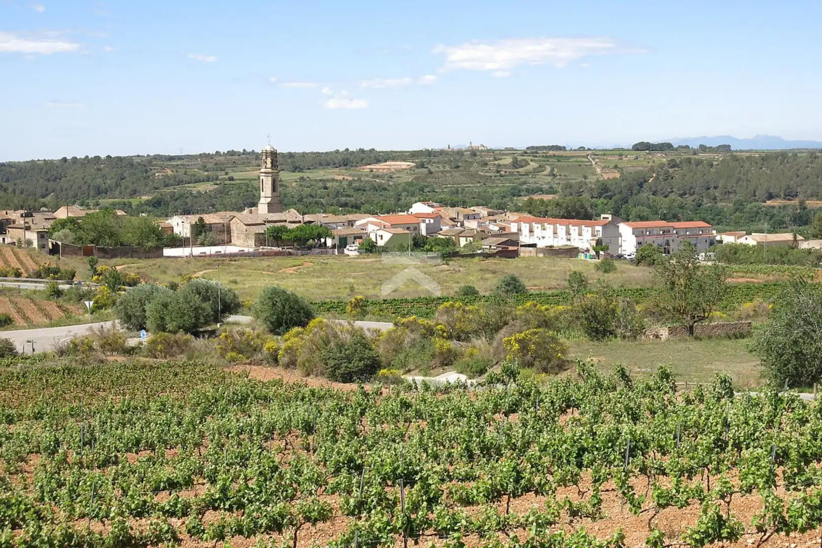 Exterior view of Country homes for sale in Montferri  with Private garden