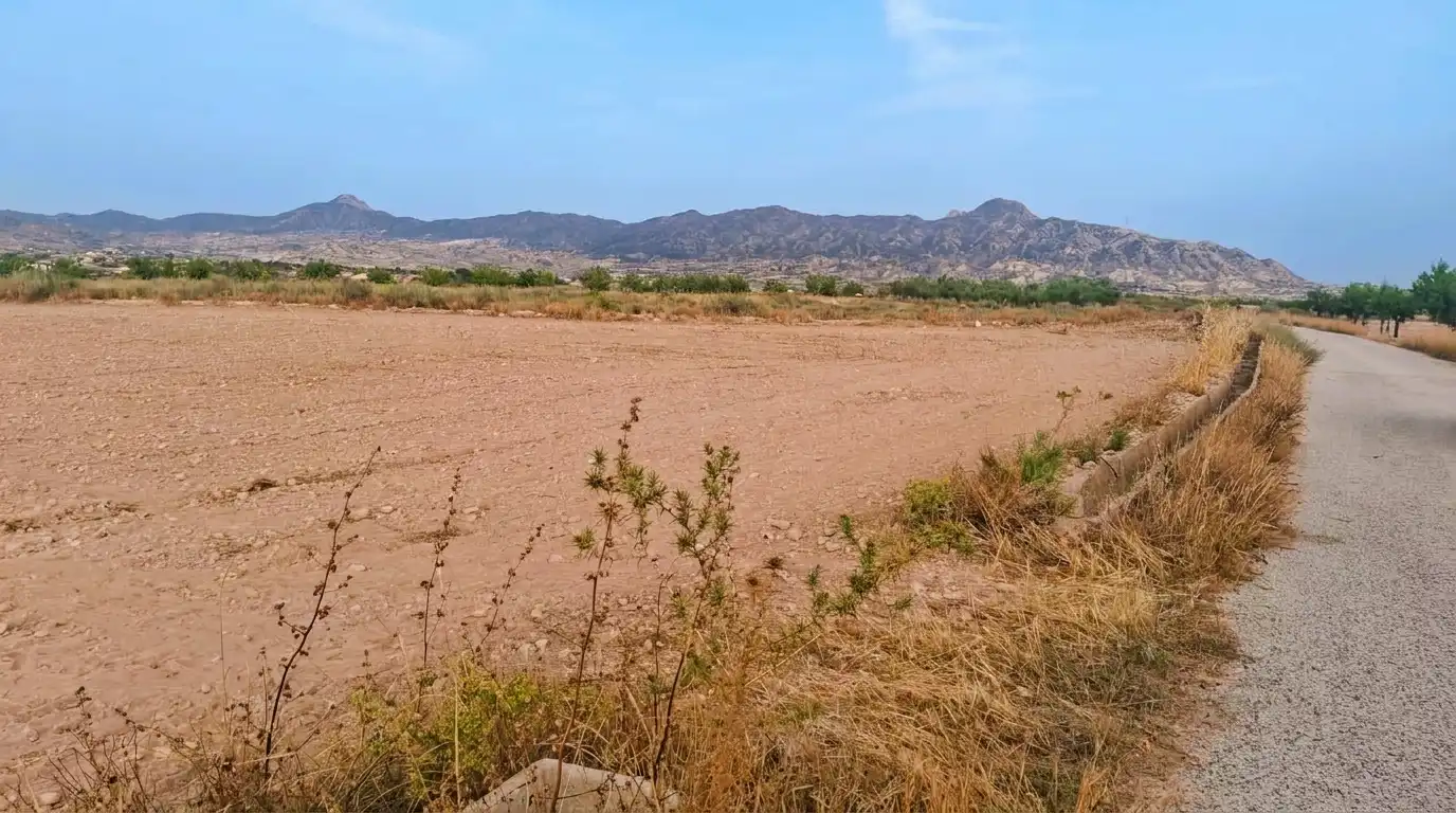 Terreno en venta en Abanilla