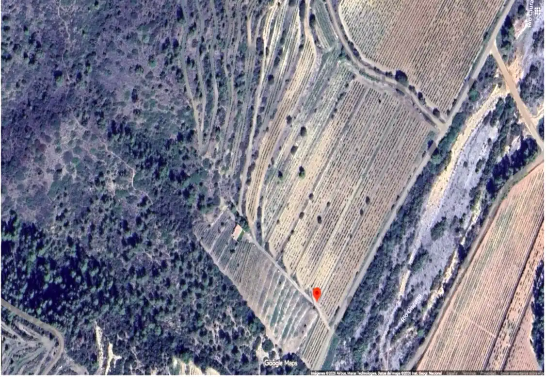 Rustikales Grundstück zum Verkauf in El Molar (Tarragona), imagen 12