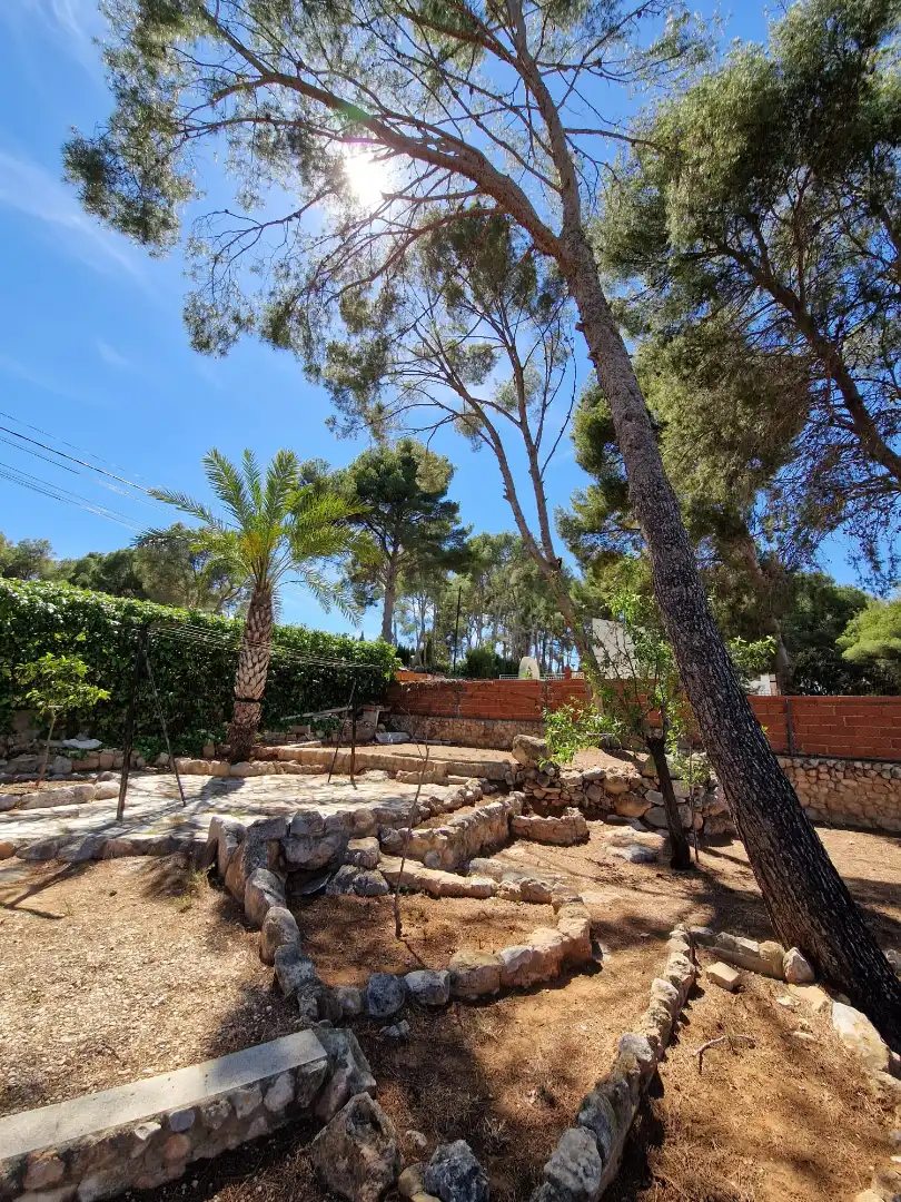 Jardín de Casa o chalet en venta en Chiva con Jardín privado, Terraza y Trastero