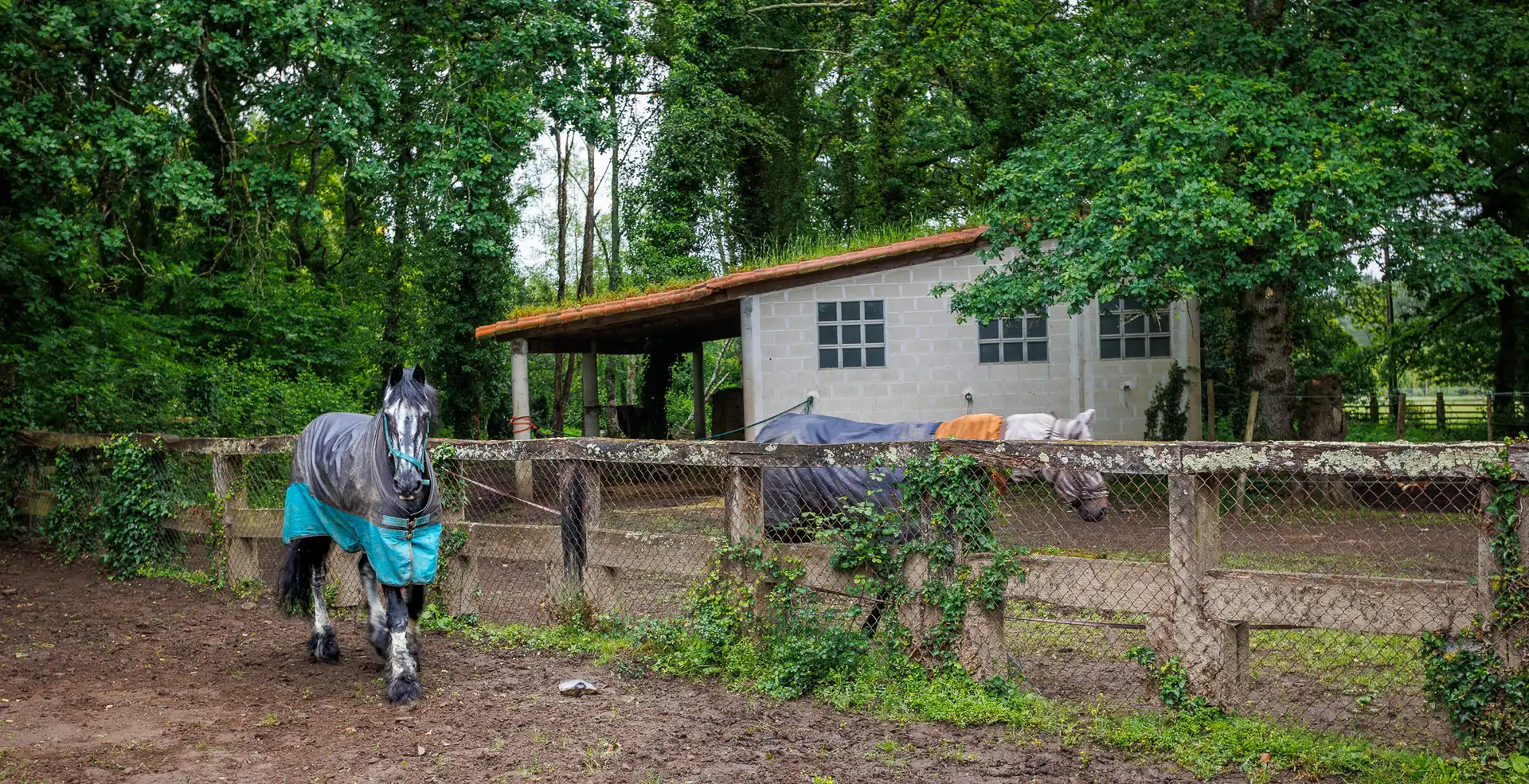 Jardí de Finca rústica en venda en Cospeito