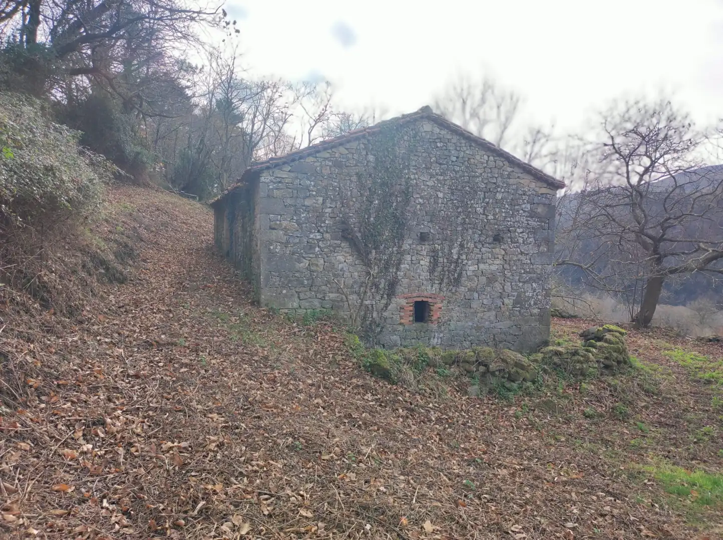 Vista exterior de Casa o chalet en venta en Santiurde de Toranzo con Jardín privado