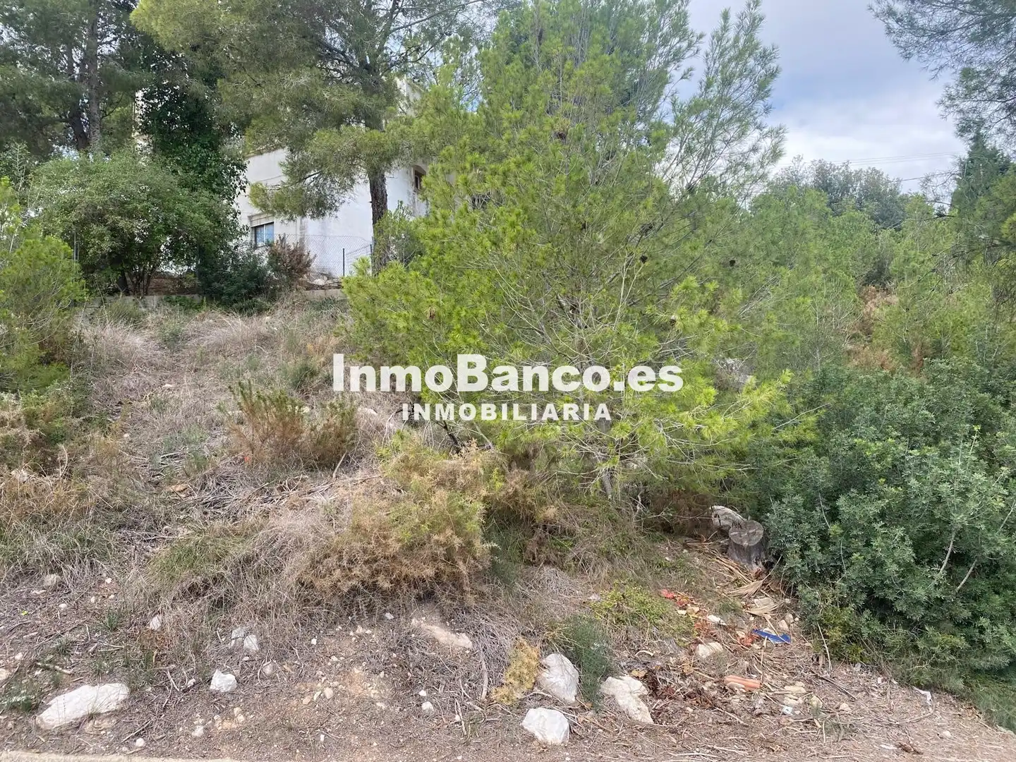 Terreny residencial en venda a Calle Pascual y Genís 869, imagen 8