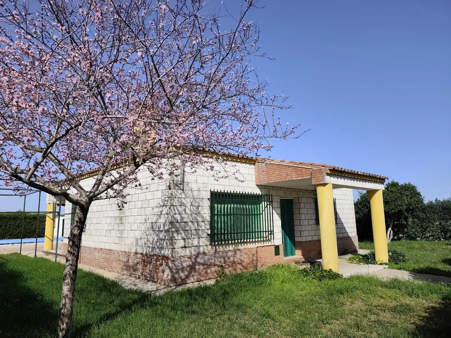 Terreni e lotti in vendita a Diseminado los Limonetes 25