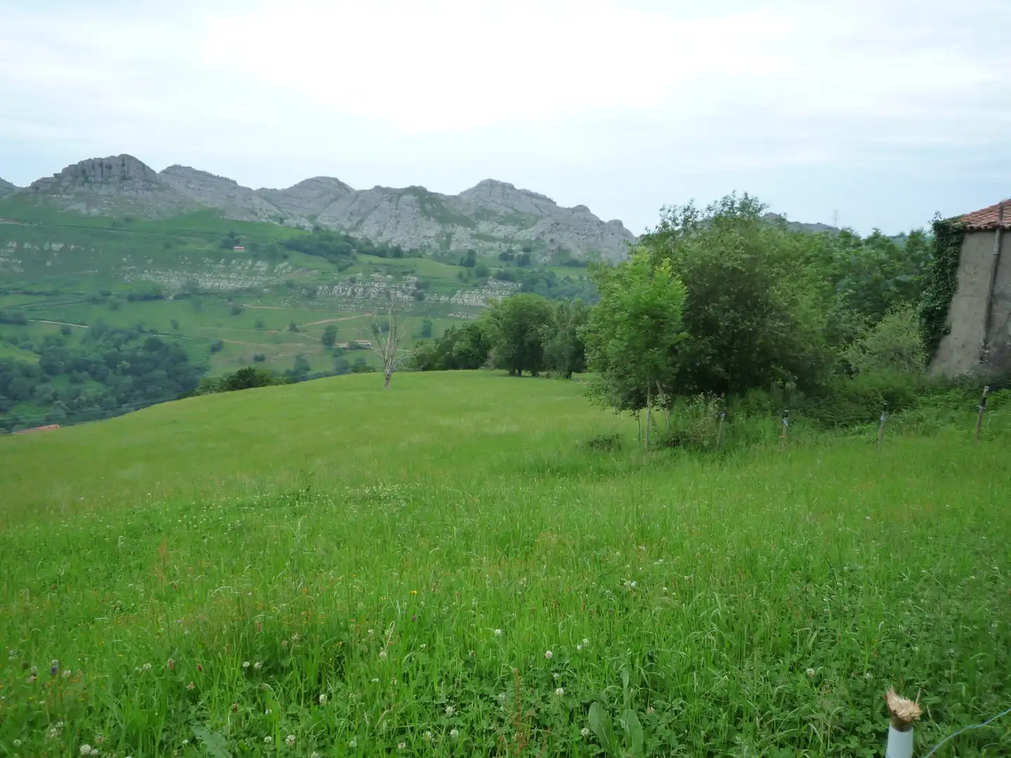 Finca rústica en venta en Liérganes