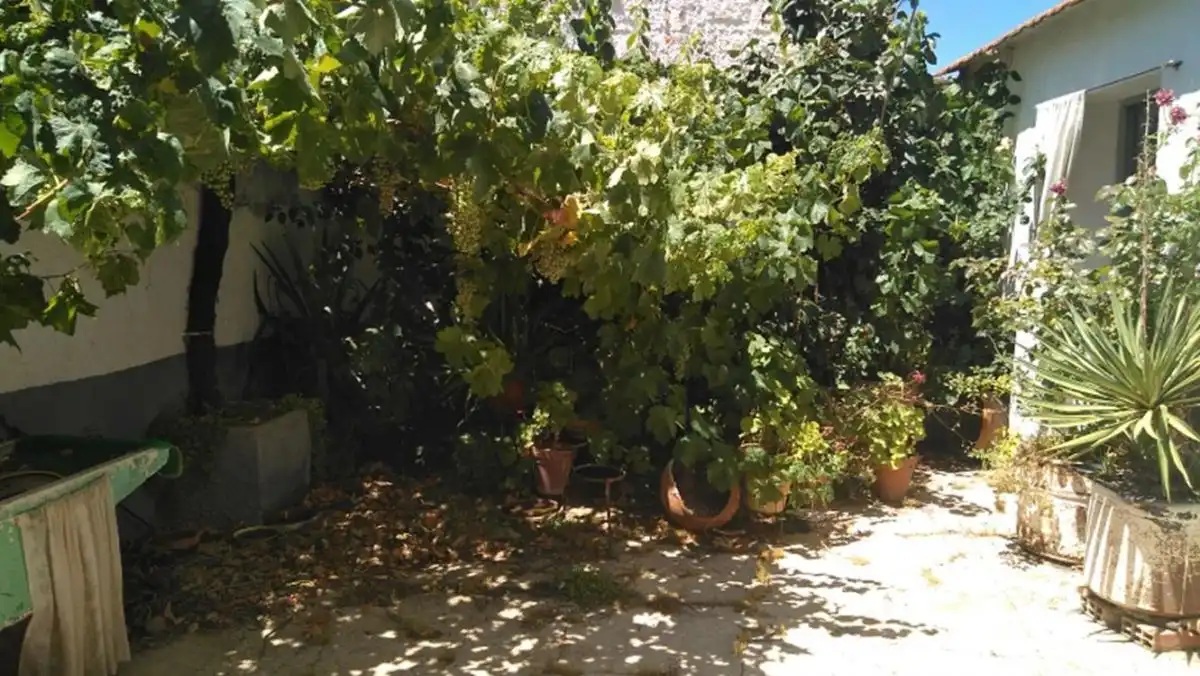 Jardín de Casa o chalet en venta en Minaya con Trastero