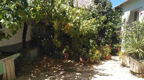 Foto 3 de Casa o chalet en venta en Cantarranas, Minaya, Albacete