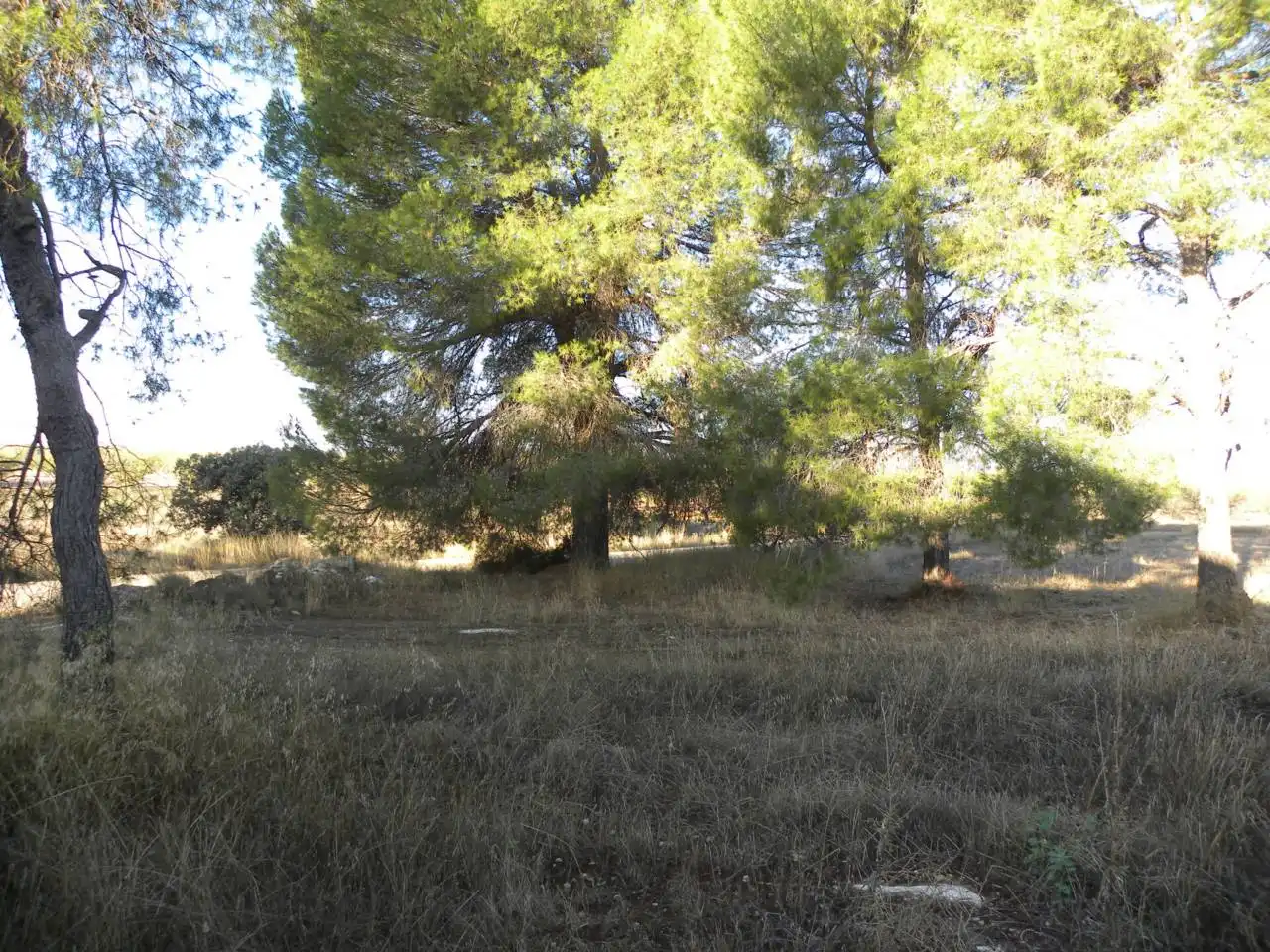 Country house with garden for sale in Calle Diseminado Casa Pepa, imagen 41