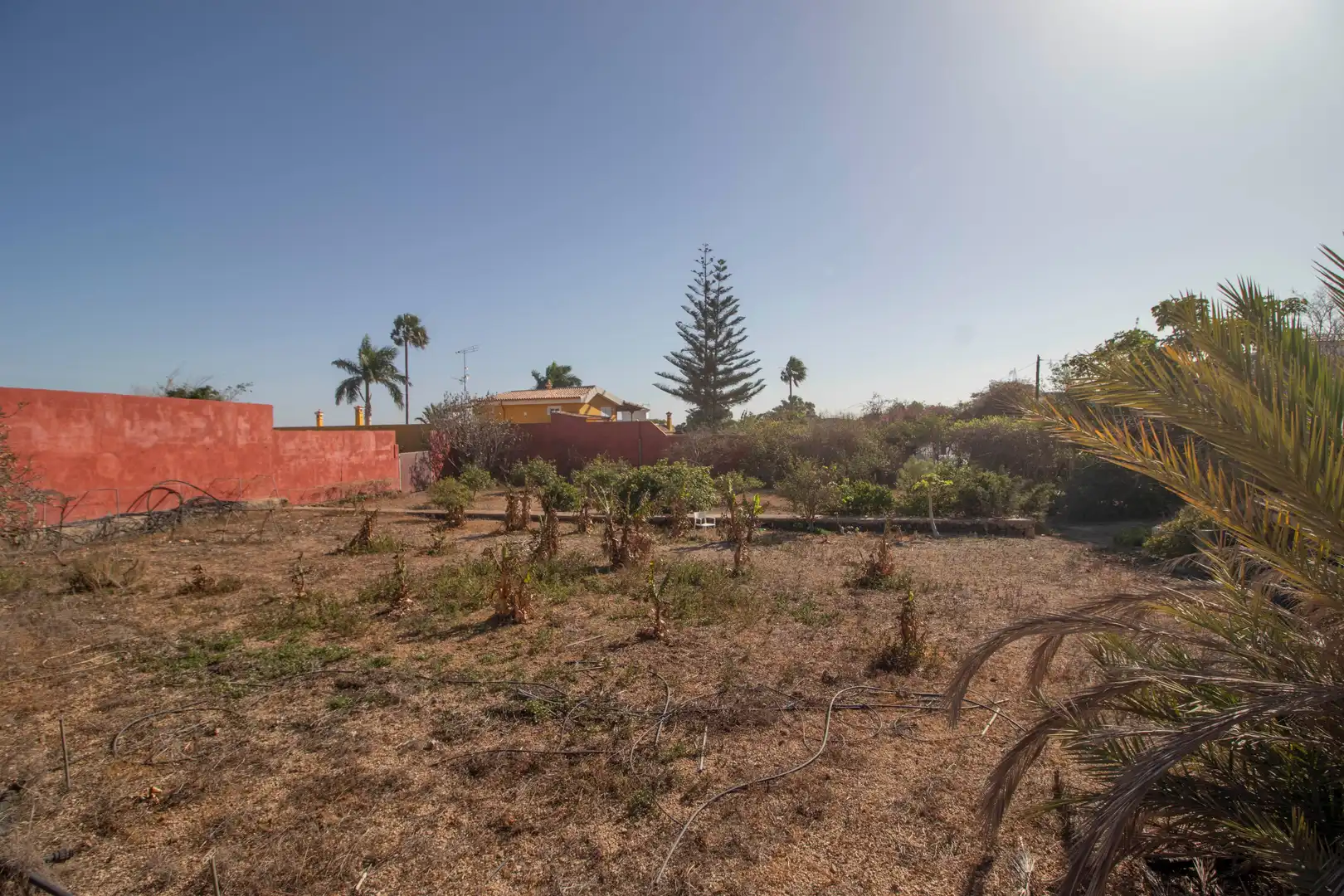 Houses for sale in San Miguel de Abona
