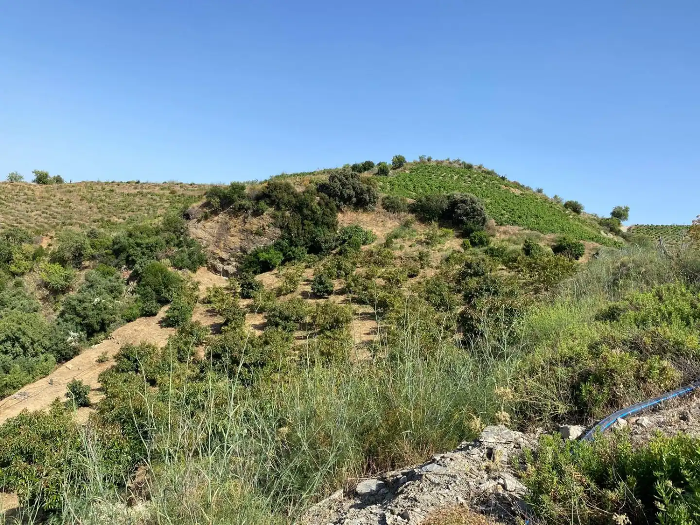 Casa rústica en venda a PARAJE CRUDO ITRABO