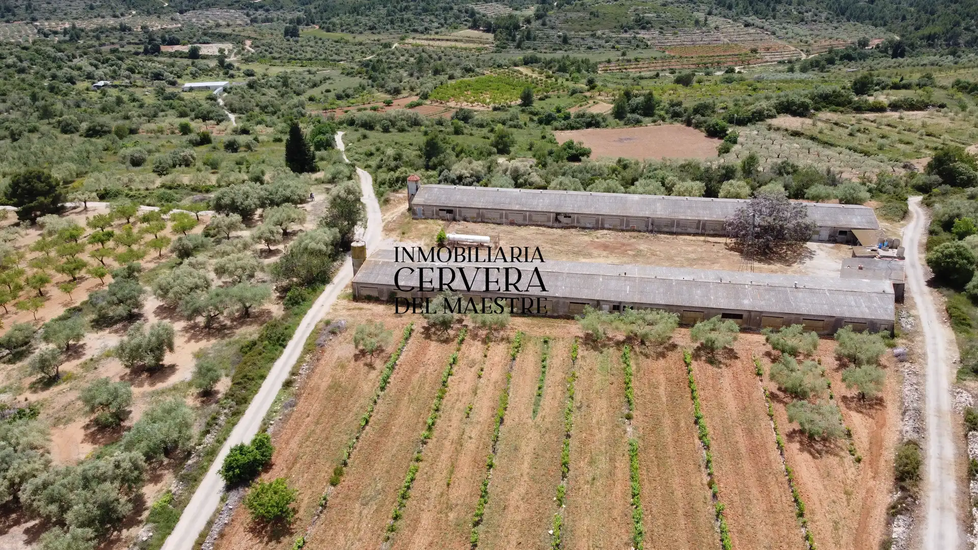 Terreno rustico in vendita a Cervera del Maestre, imagen 18