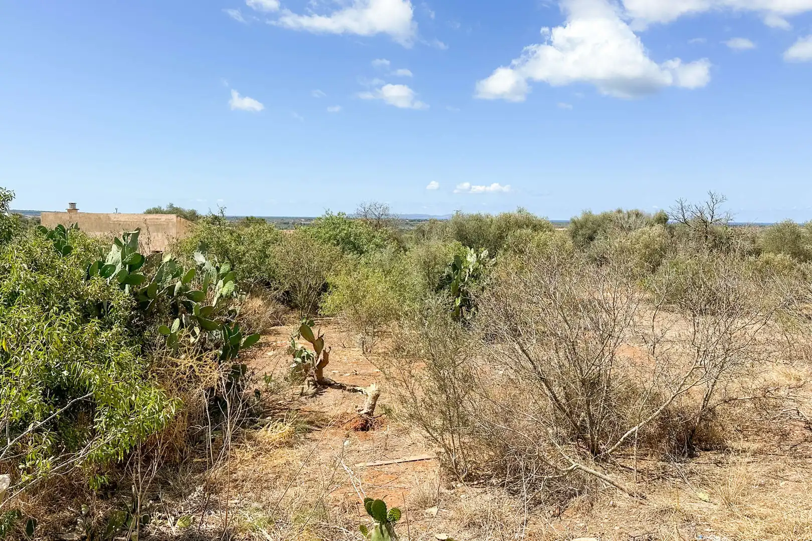 Wohnbaugrundstück zum Verkauf in Ses Salines Poble, imagen 2