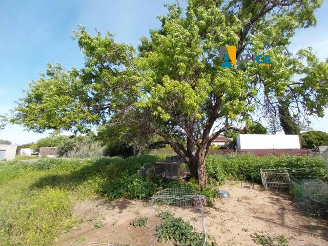 Terreno en Venta en Barrio Nuevo