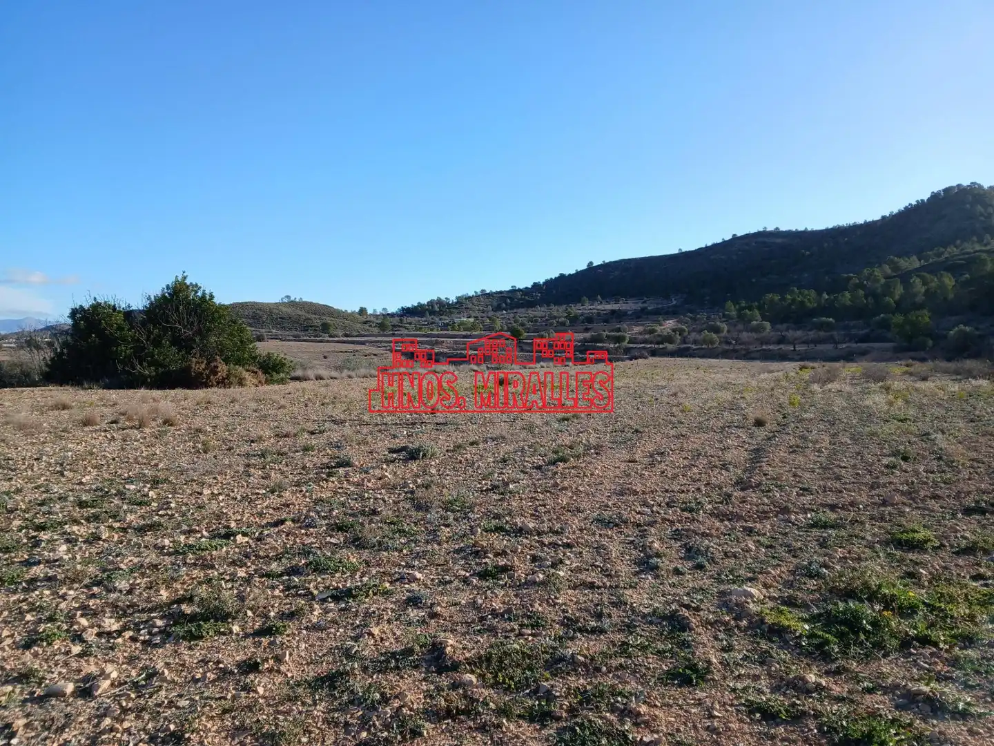 Terreno residenziale in vendita a Hondón de los Frailes, imagen 6