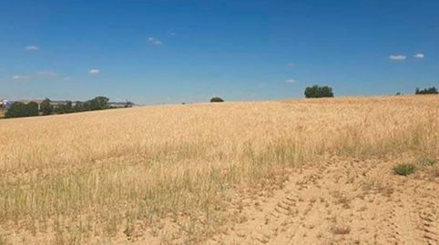 Terreno urbanizable en venta en lugar Sector 22 Par Poligono, immagine 3