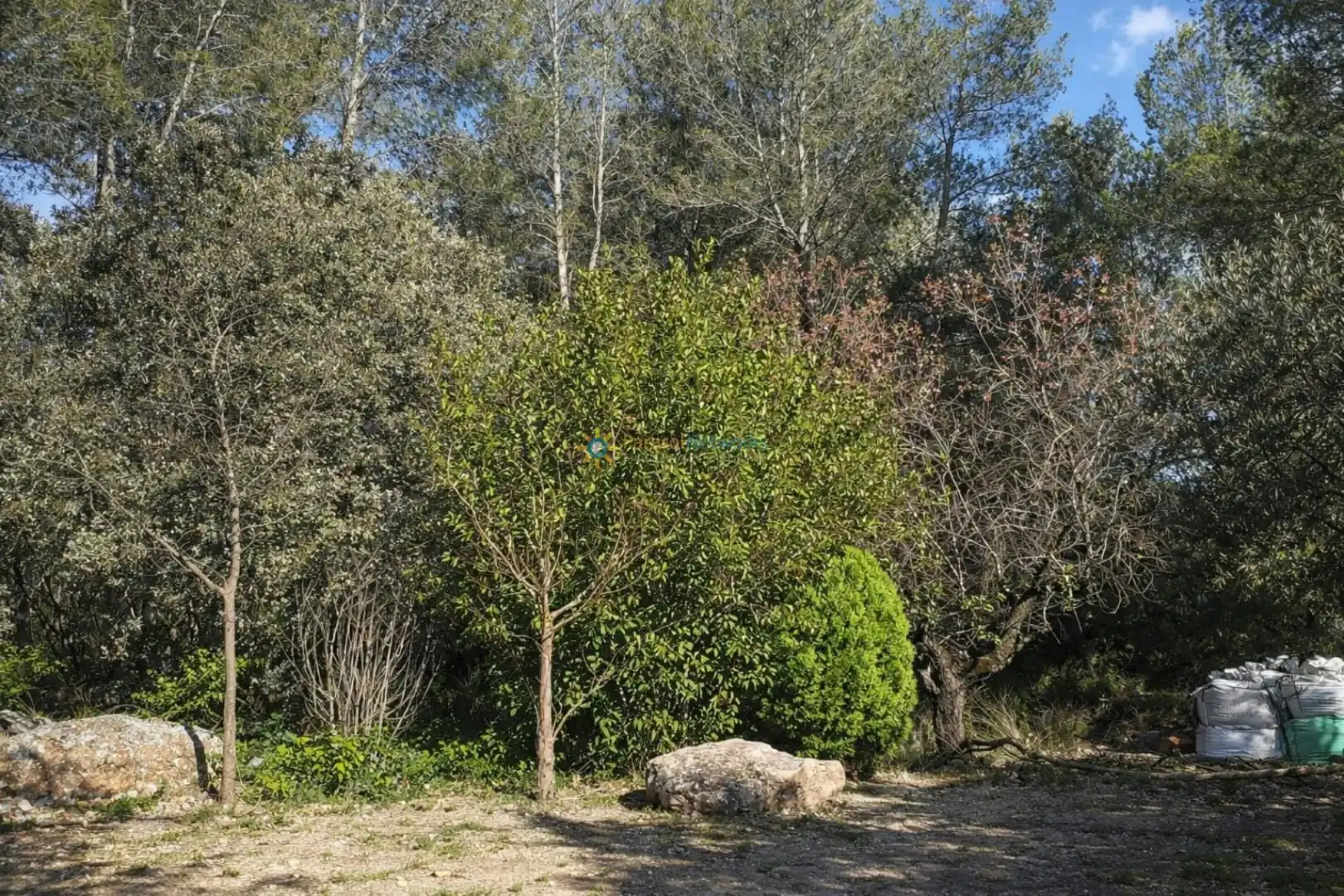 Finca rústica en venda en Muro de Alcoy amb Jardí privat, Terrassa i Traster