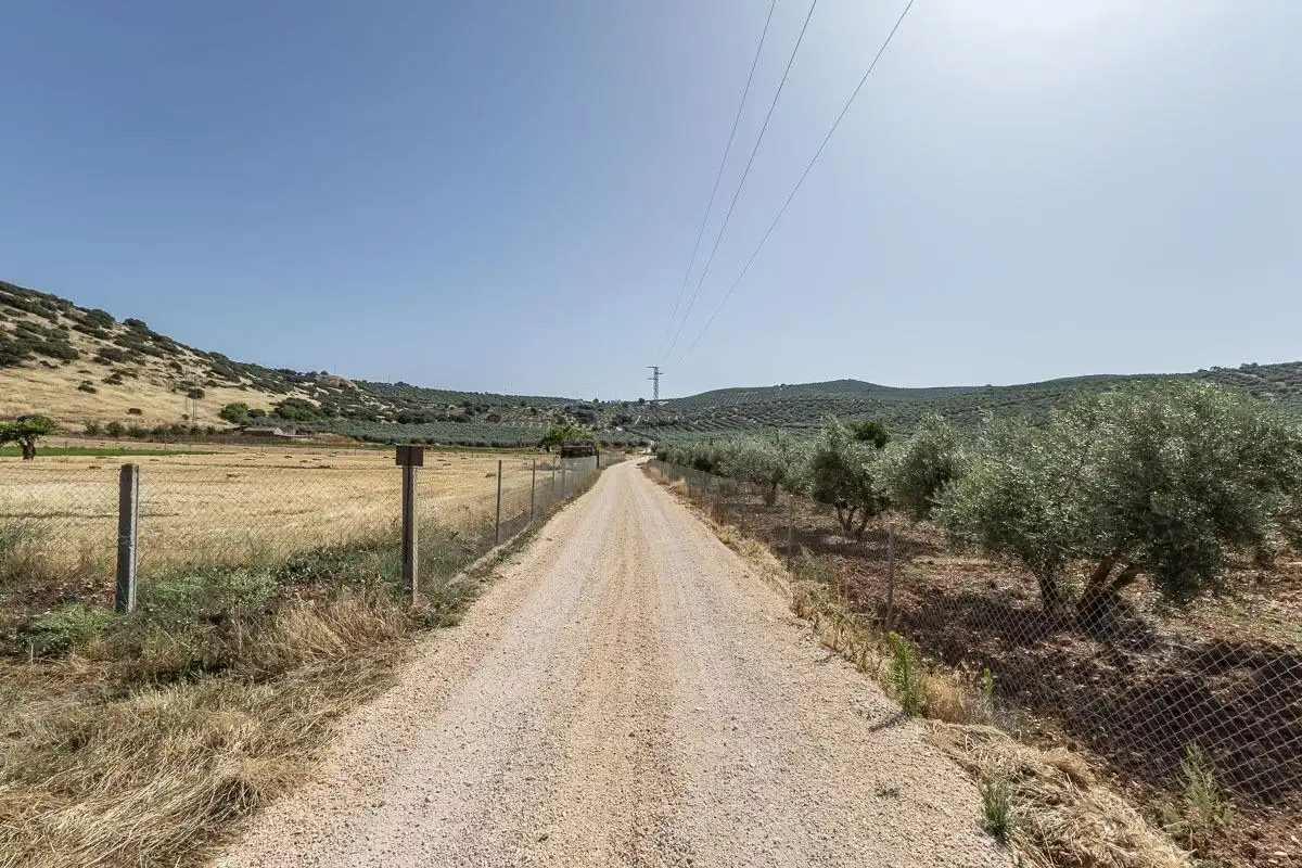 Land for sale in Montefrío