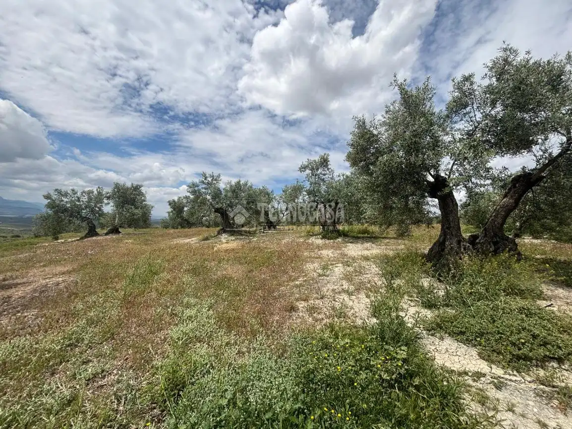 Terreni e lotti in vendita a Torreperogil, imagen 4