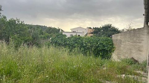 Sierra de Tramuntana  Mancor de la Vall, imatge 5