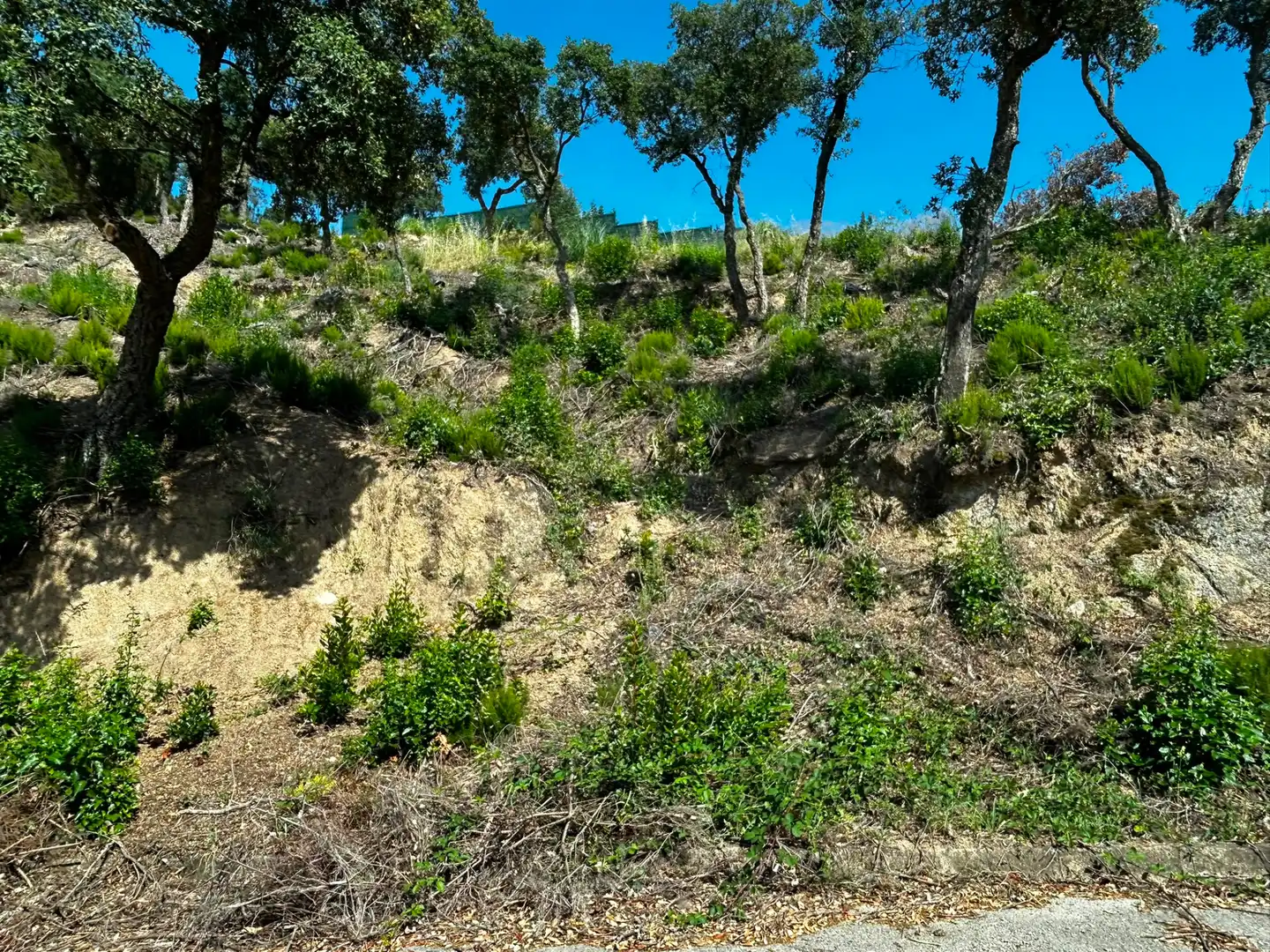Terreno residencial en venta en Lloret Residencial - Montlloret, imagen 5