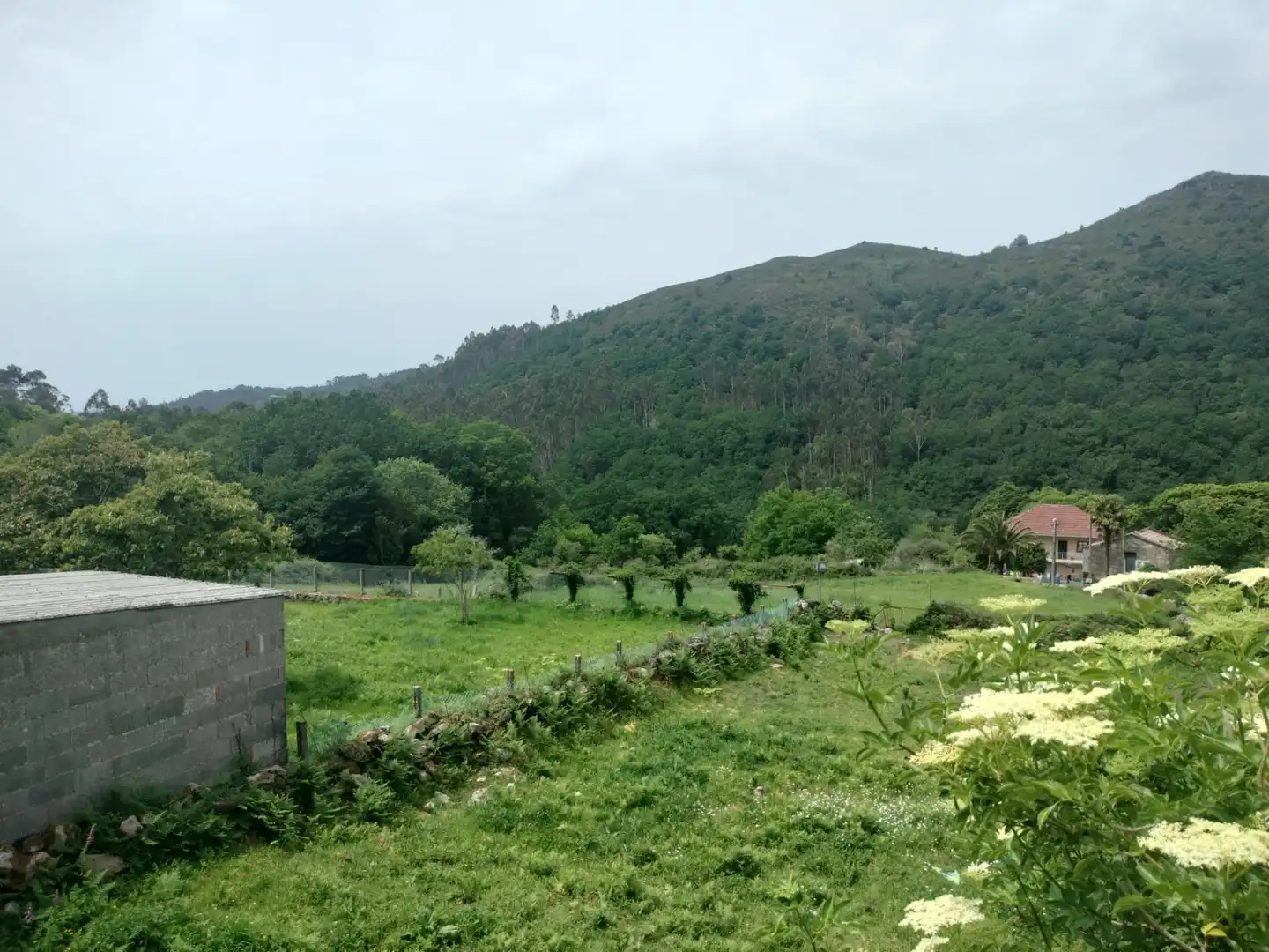 Casa rústica amb jardí en venda a A Lama, imagen 13