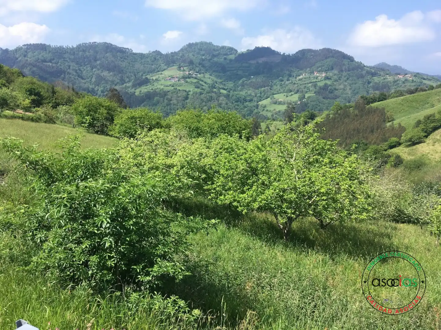 Terreno rustico in vendita a C/ Breceña Km 332, imagen 5