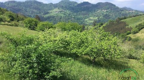 Foto 5 de Residencial en venda a C/ Breceña, Km 33, Parroquias surorientales, Asturias