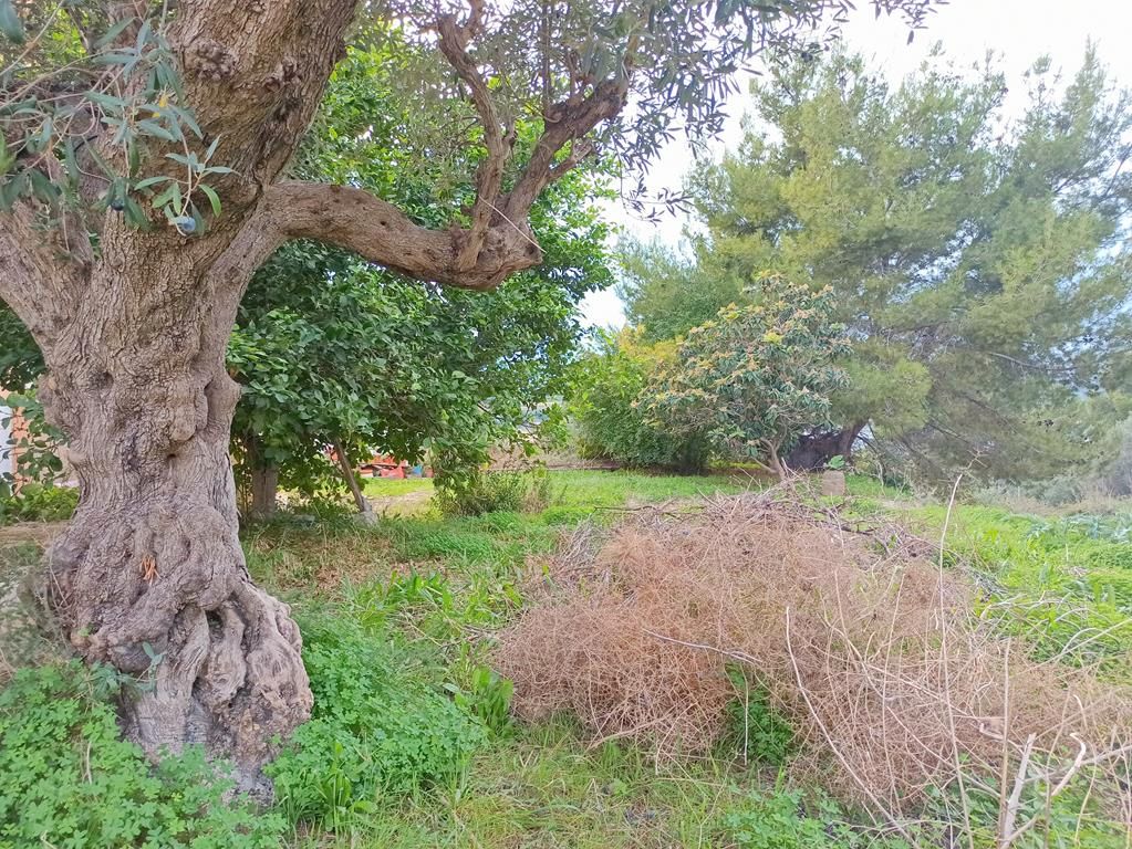 House or chalet for sale in Teulada  with Heating, Private garden and Terrace