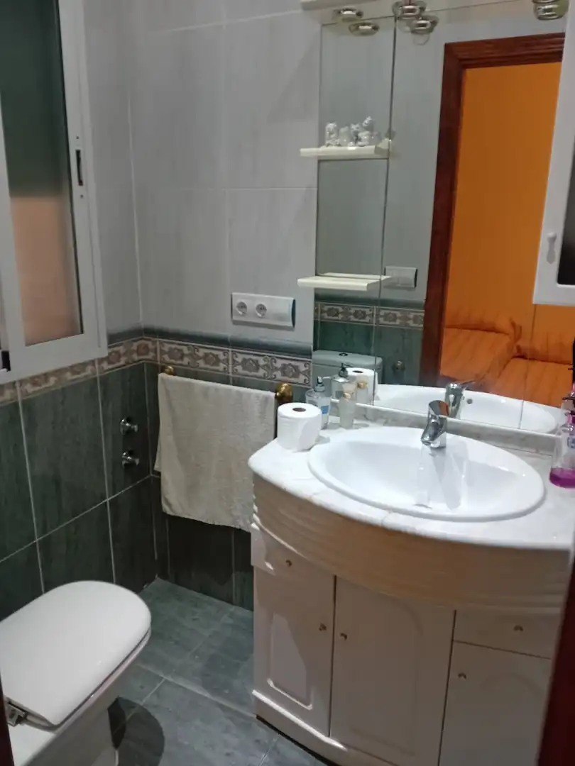 Bathroom of Houses for sale in Ciudad Real  with Air Conditioner, Heating and Private garden