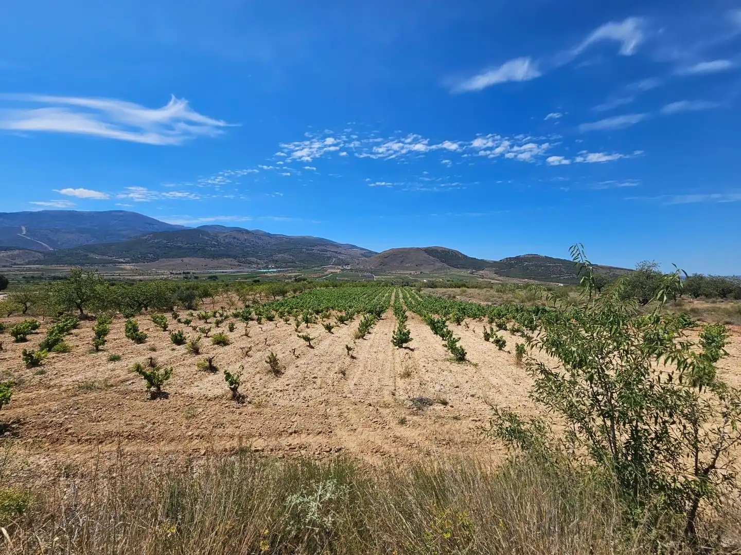 Finca rústica en venta en Laujar de Andarax