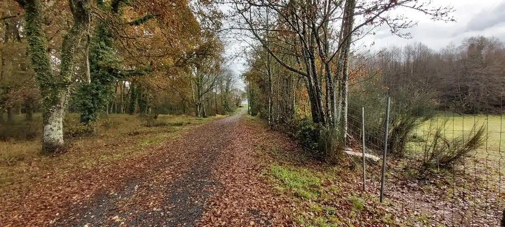 Casa o chalet en venta en Lugo