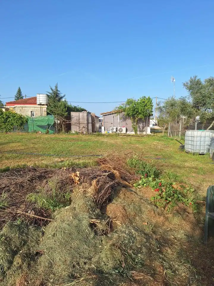 Terreni e lotti in vendita a Pedanías Norte, imagen 16
