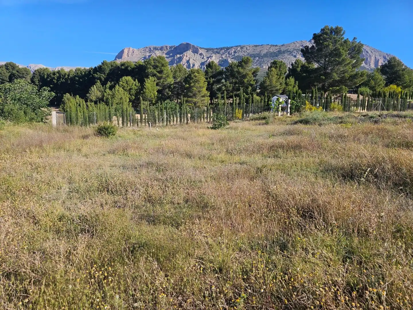 Finca rústica en venta en Vélez-Rubio con Terraza y Amueblado
