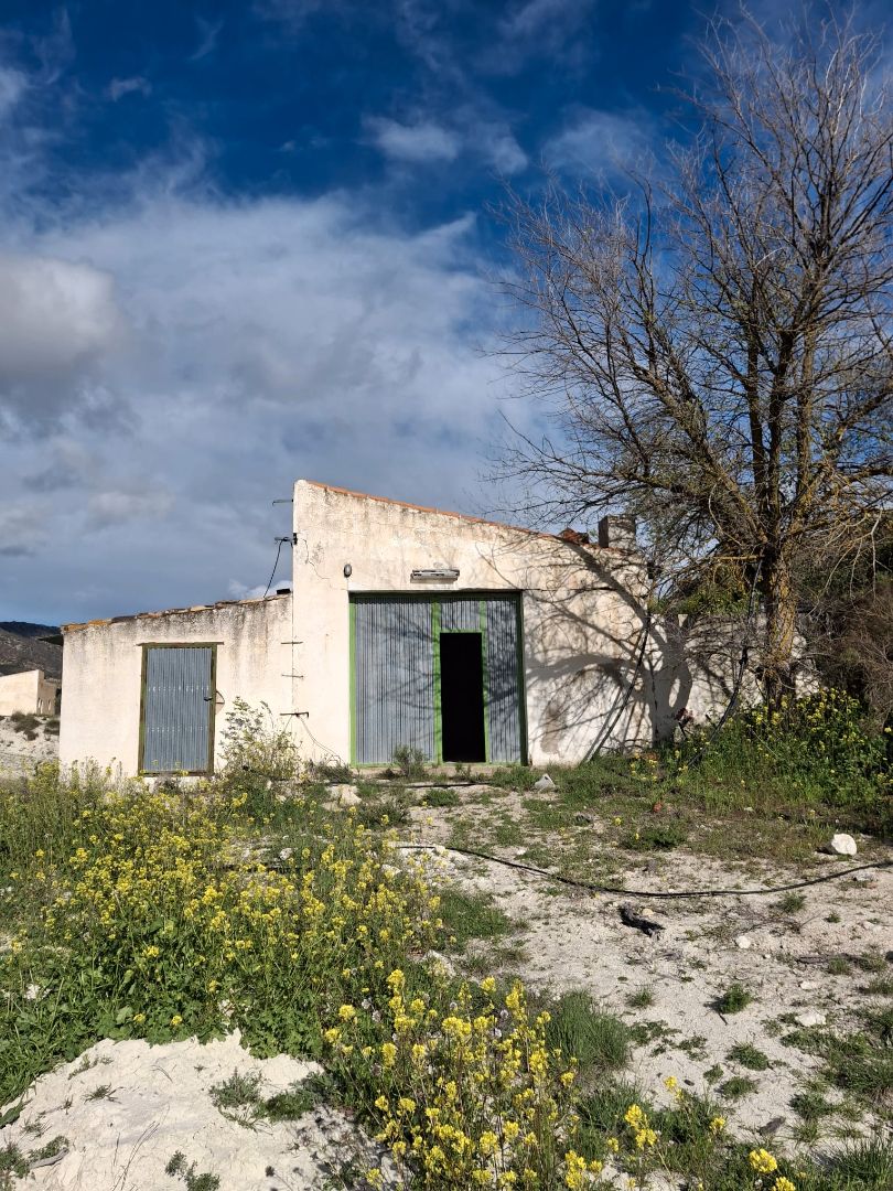 Vista exterior de Terreno en venta en María