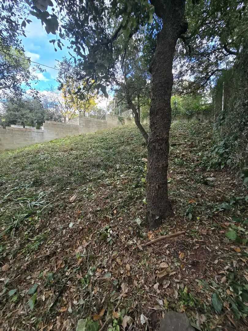 Terreno residencial en venta en Passeig d'Egara 2, imagen 14