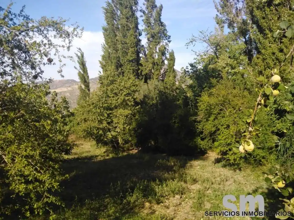 Terreno en venta en Zahara