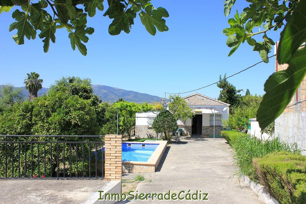 Vista exterior de Finca rústica en venda en Algodonales amb Aire condicionat, Calefacció i Jardí privat