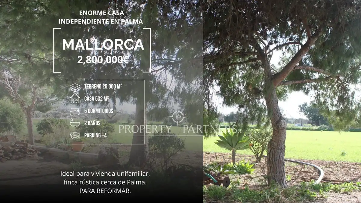 Xalet amb jardí en venda a Son Nebot, imagen 4
