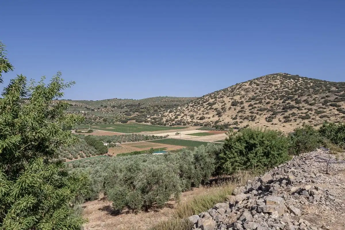 Land for sale in Montefrío