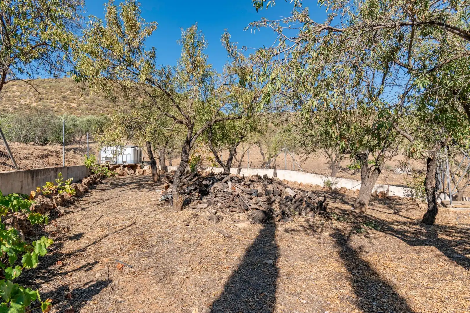 Finca rústica en venta en Vereda morollon, La Peza
