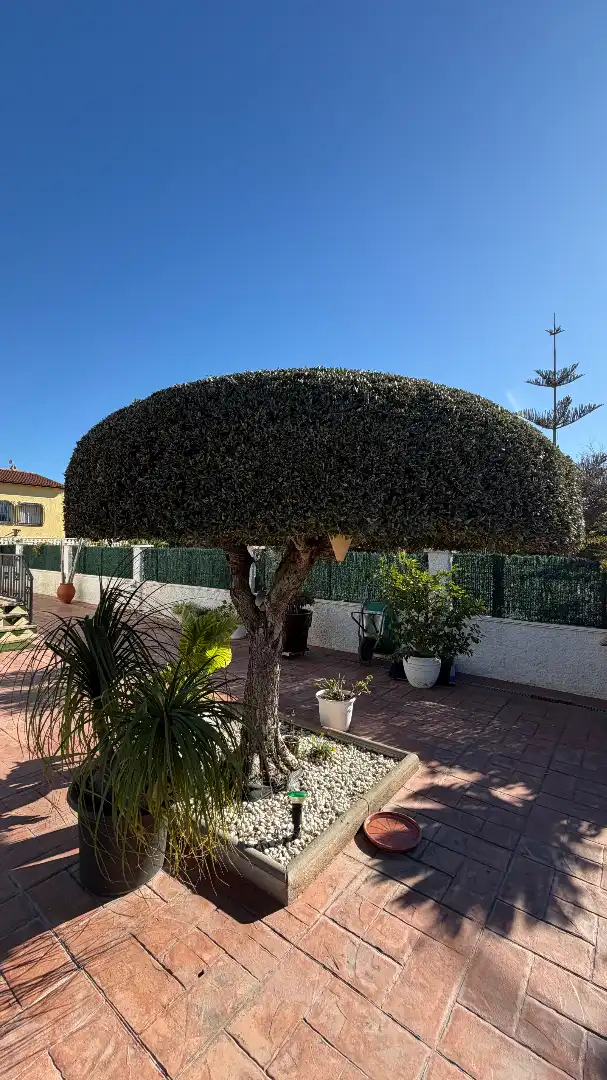 Jardí de Casa o xalet en venda en Creixell amb Aire condicionat, Jardí privat i Terrassa