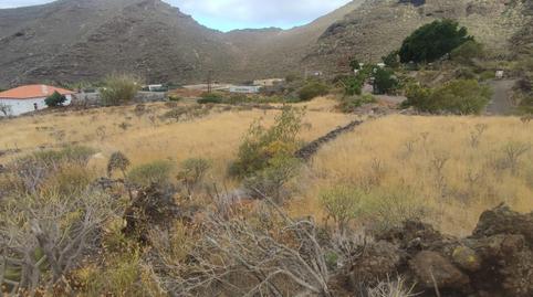 Photo 2 of Land for sale in  Polígono 2 Parcela 125 Cdo Monte. Santiago del Te, Tamaimo - Arguayo, Santa Cruz de Tenerife