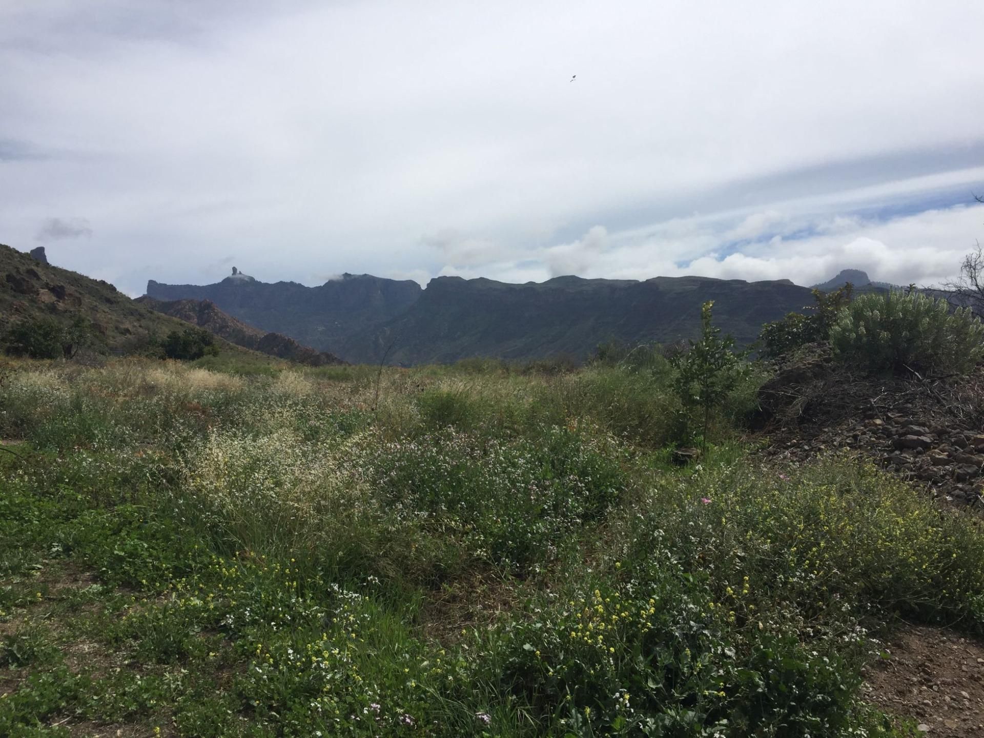 Land for sale in Artenara