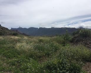 Land for sale in Artenara