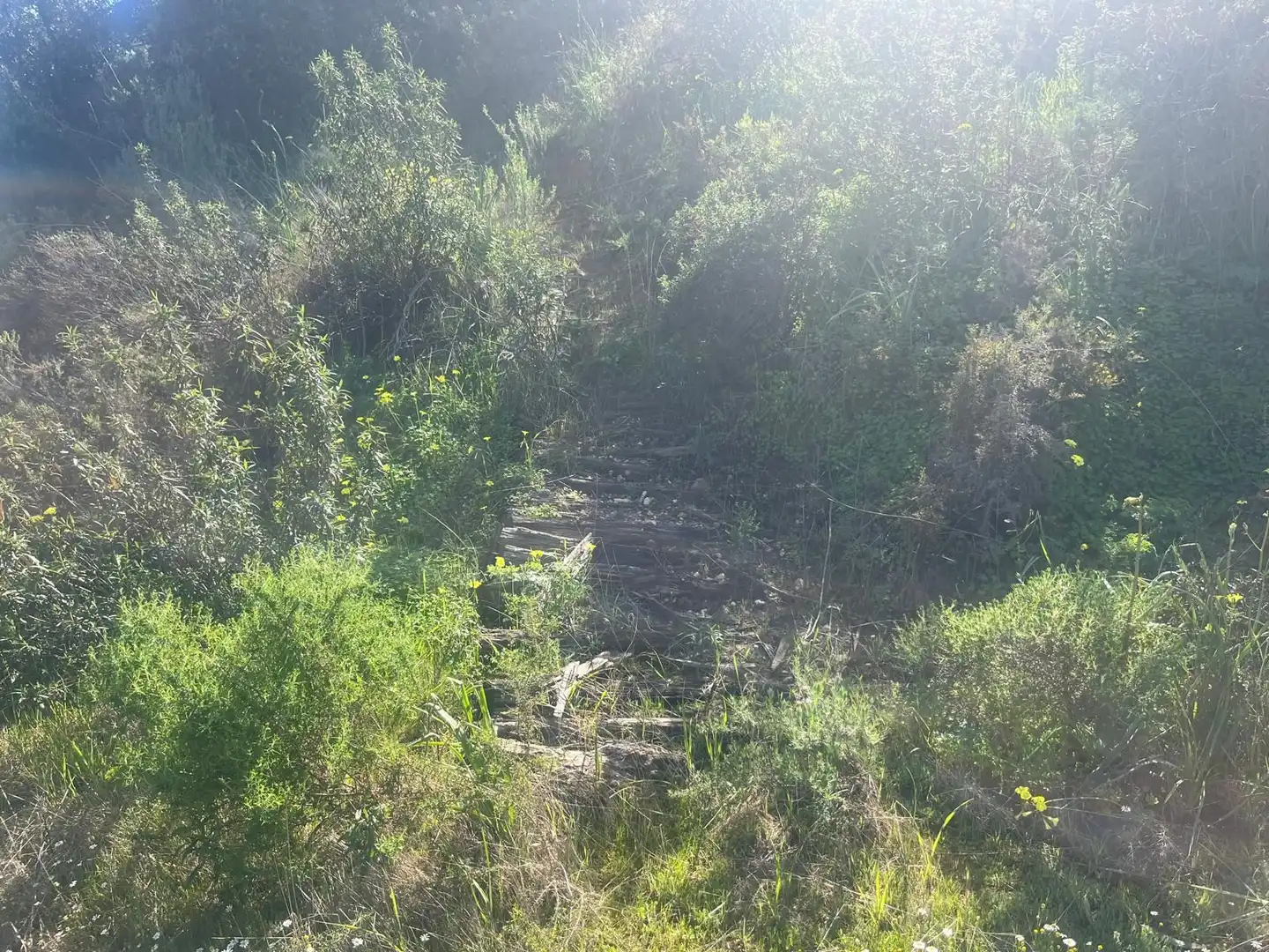 Residencial en venda en Gibraleón